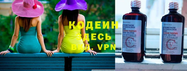 хмурый Вяземский