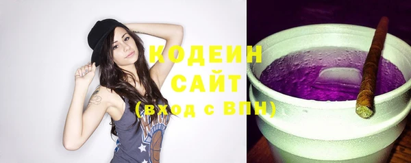 хмурый Вяземский