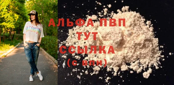 хмурый Вяземский